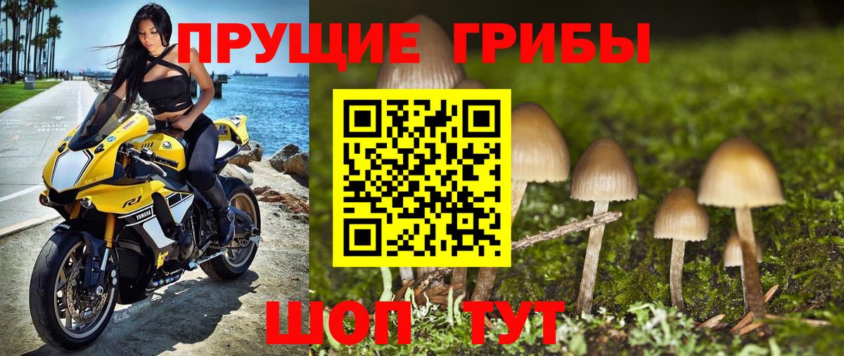 Соль-Илецк  Псилоцибиновые грибы Cubensis  Вход с VPN  Псилоцибиновые грибы Magic Shrooms 